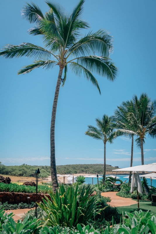 The Four Seasons Resort Lanai