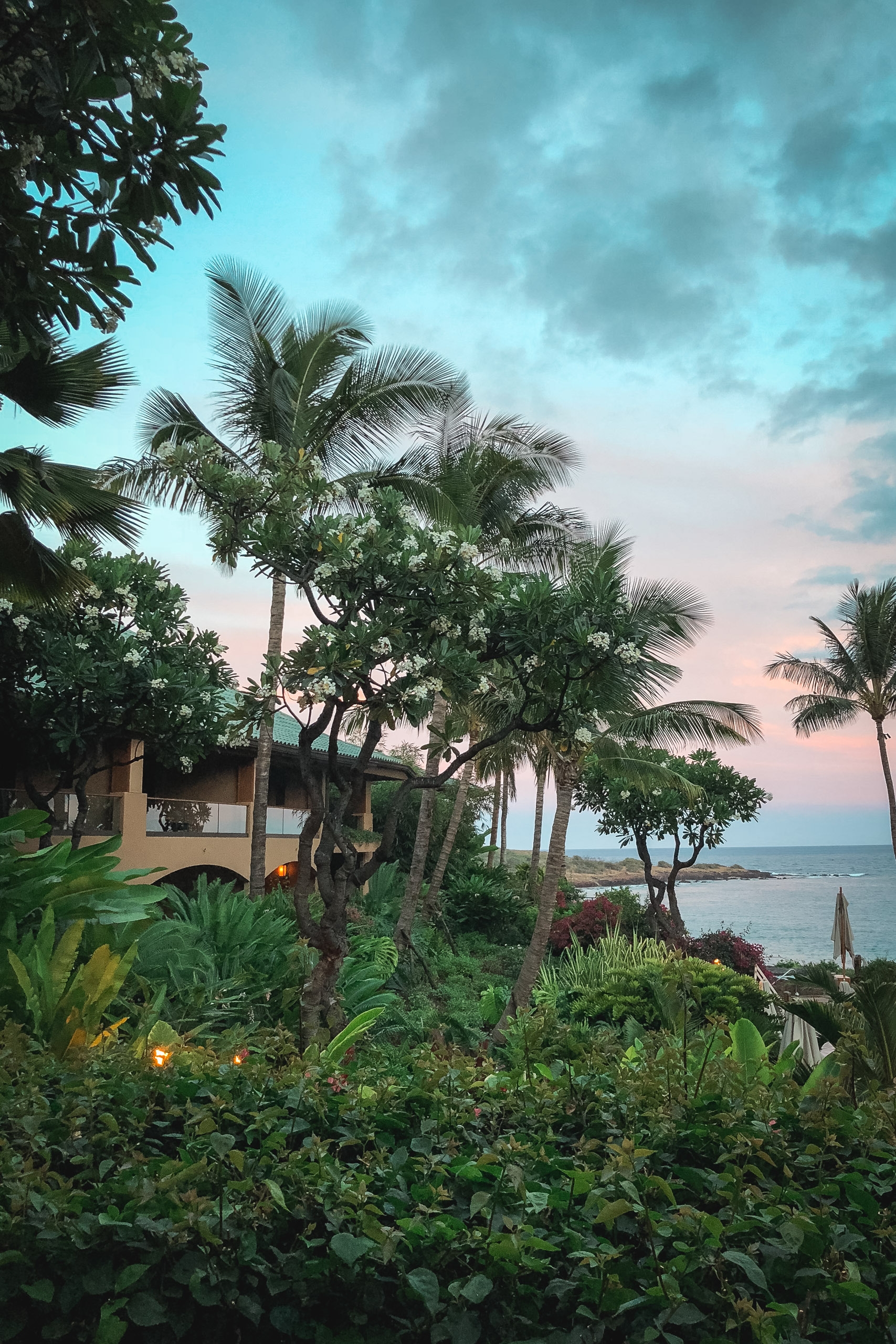 A beachfront home nestled among lush tropical vegetation and towering palm trees overlooks calm ocean waters under a twilight sky with soft pink and blue clouds