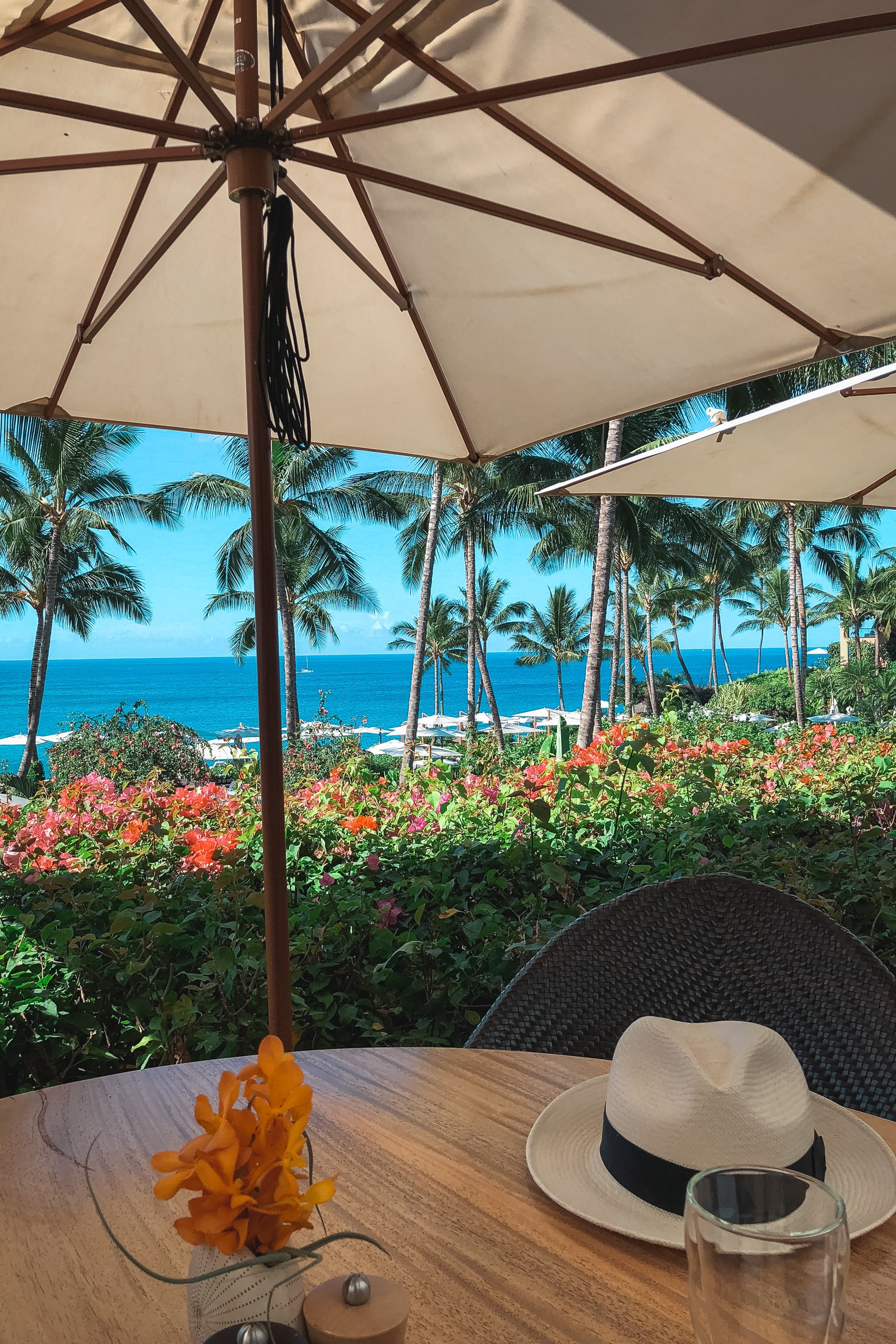 Wooden table beneath a tan umbrella overlooks tropical palm trees and turquoise ocean, with a white Panama hat and orange flower arrangement in the foreground