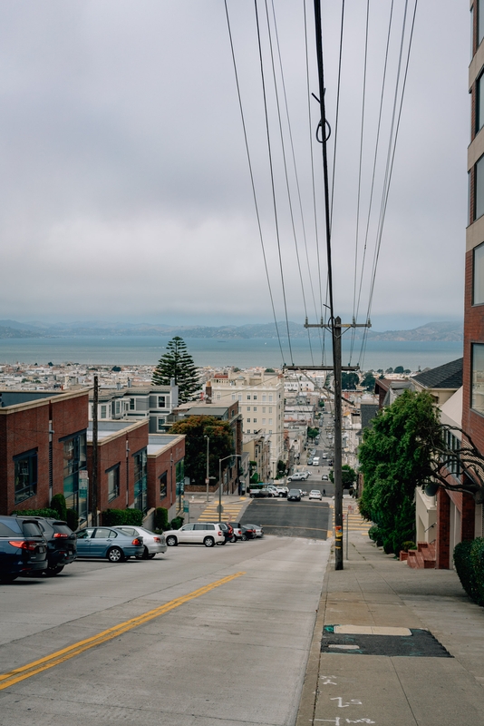 Overlooking the San Francisco Bay