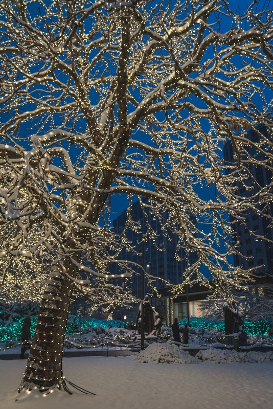 Christmas Lights in Temple Square