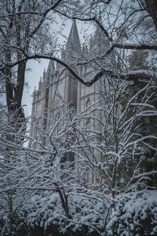 The Temple Through the Trees