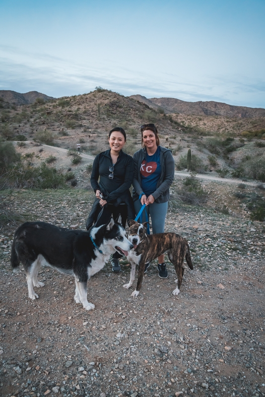 Dog Walking in the Desert - 2