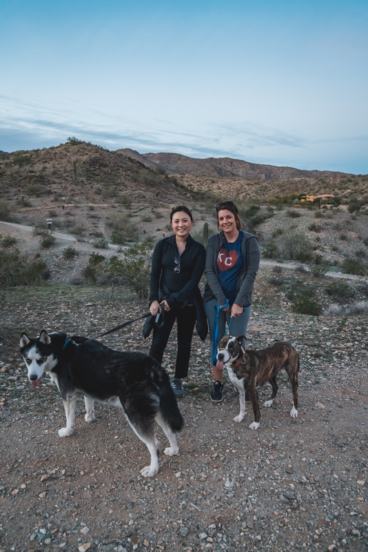 Dog Walking in the Desert