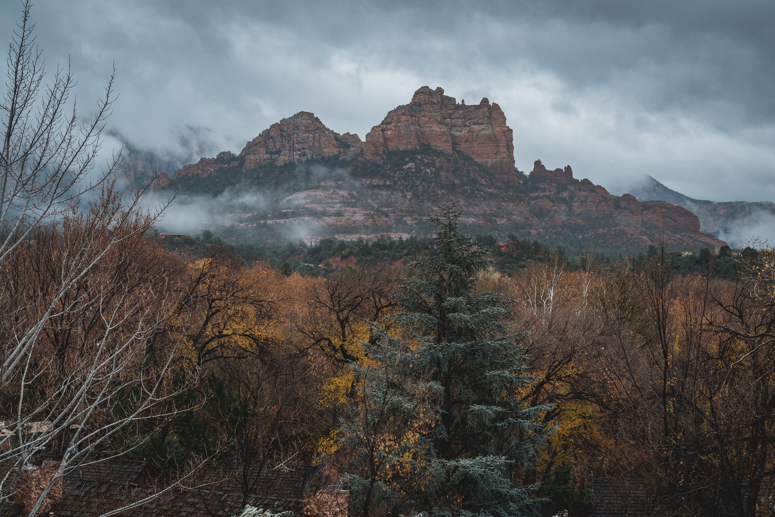 Red rock formations rise dramatically above bare autumn trees under overcast skies, with mist clinging to the mountainside in Sedona, Arizona