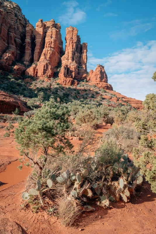 Desert Landscapes in Sedona 2