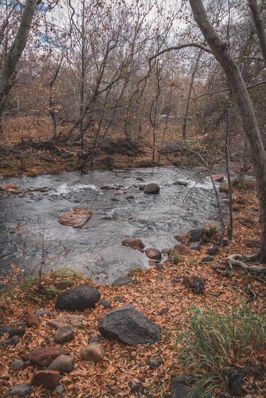 Oak Creek in Sedona