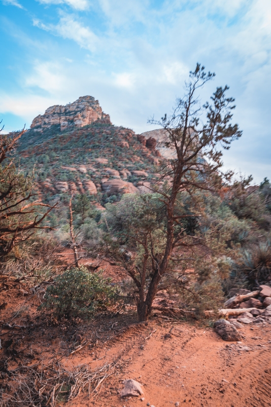 Sedona Mountain Views