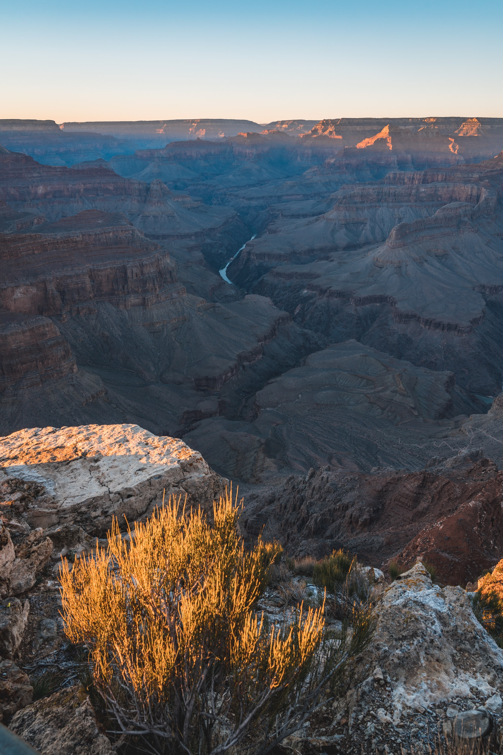 Golden-hour sunlight illuminates desert vegetation in the foreground while casting long shadows across the layered rock formations and Colorado River winding through the Grand Canyon's vast interior