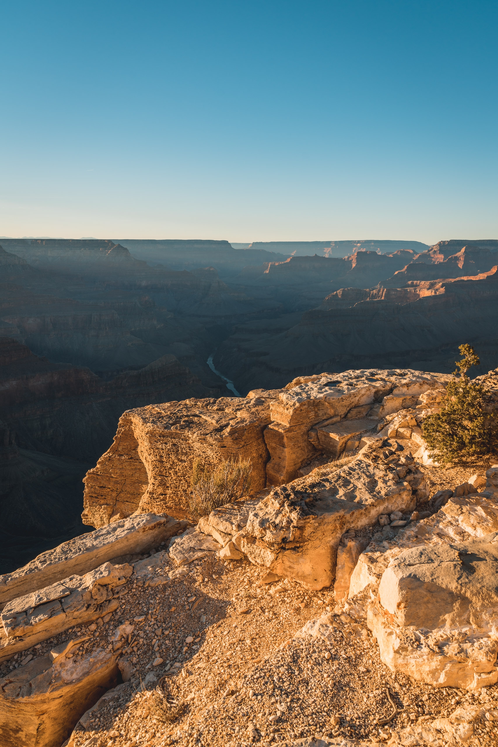 Golden sunlight illuminates layered rock formations and a distant river winding through the Grand Canyon's vast expanse under clear blue sky