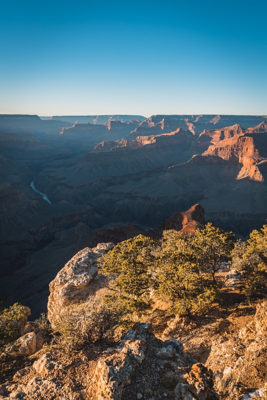 Golden Sunlight Over Grand Canyon