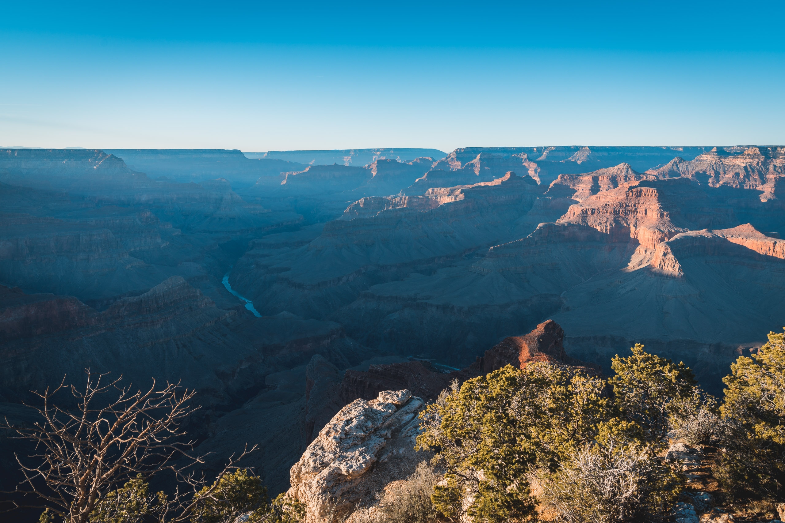 Layered canyon walls and distant river define the vast Grand Canyon landscape under clear blue sky, with sunlit rock formations and sparse vegetation in the foreground