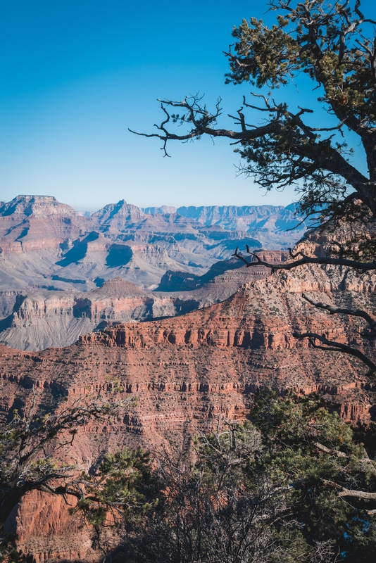 Grand Canyon National Park - 2018-1208-DSC01775
