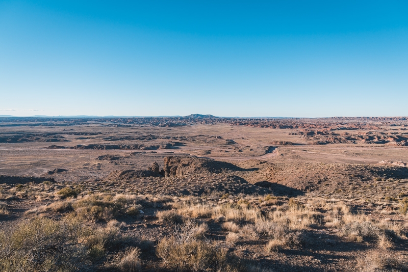 Overlooking the Painted Desert