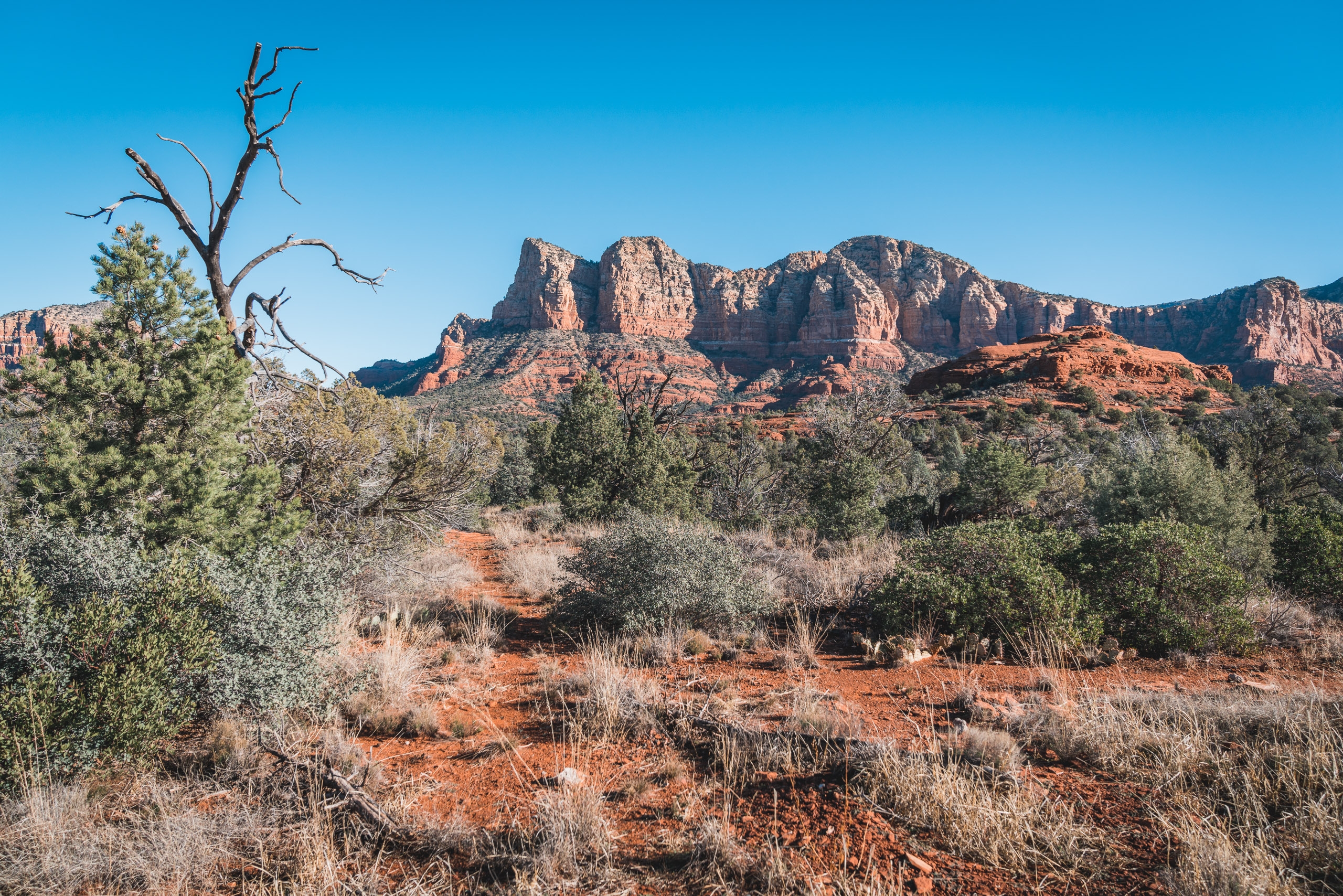 Red rock formations rise dramatically beyond sparse desert scrubland dotted with juniper trees and dry brush under clear blue sky