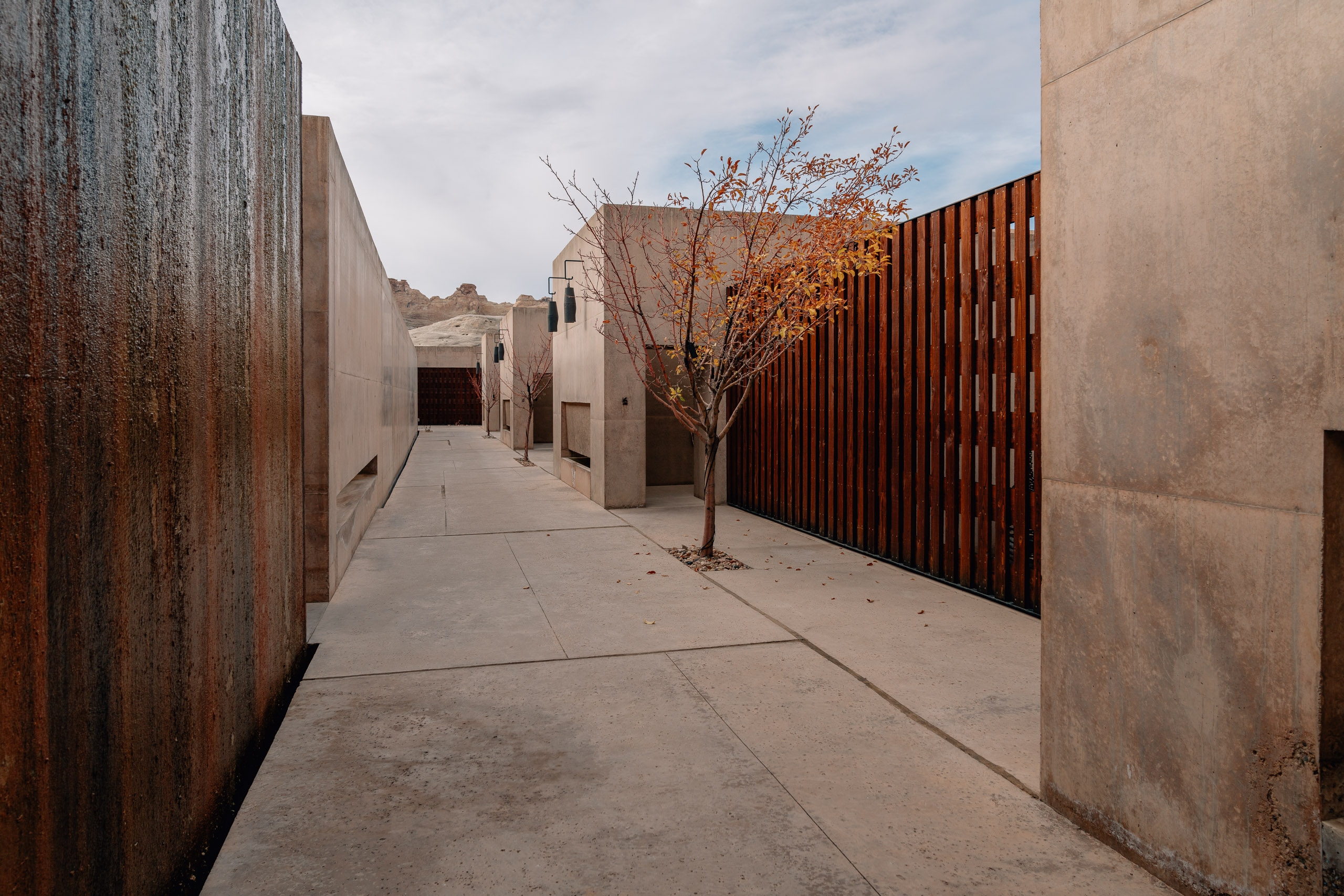 A narrow concrete pathway lined with weathered metal and stone walls leads toward a modernist building with a bare tree and autumn foliage under overcast desert sky