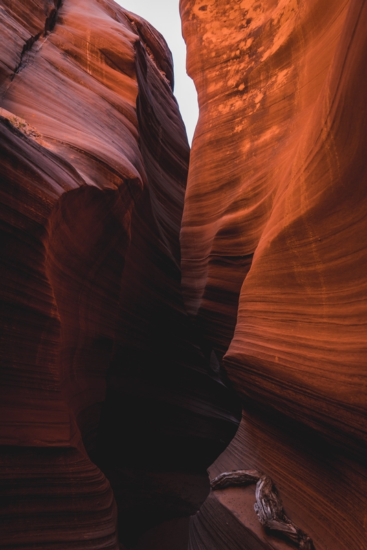 Touring Rattlesnake Canyon 3