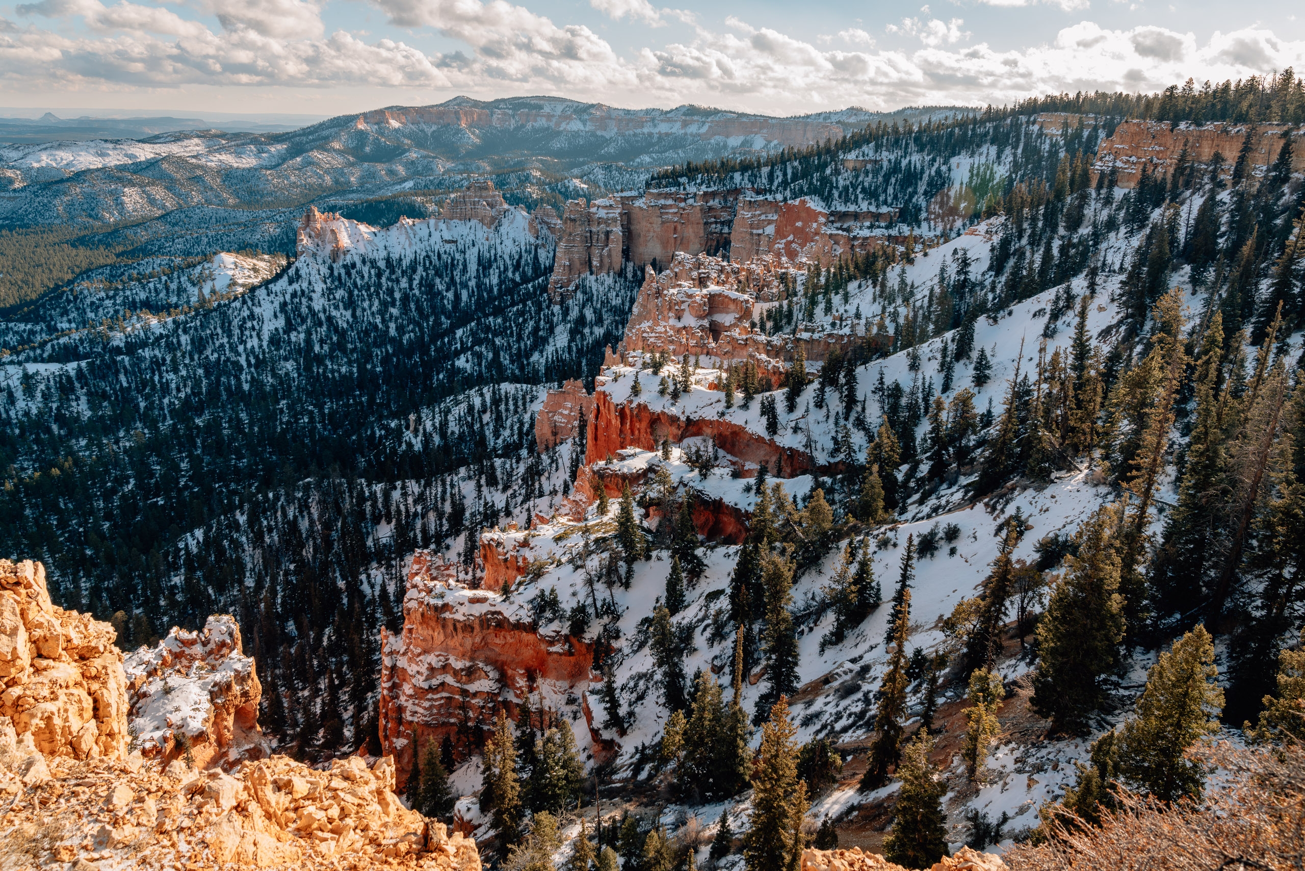 Snow-dusted hoodoos rise dramatically from a forested canyon floor beneath a partly cloudy sky, with dense evergreen trees blanketing the surrounding plateau landscape.