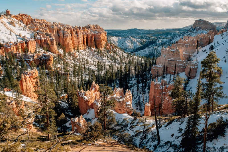 Sun and Shade at Bryce Canyon