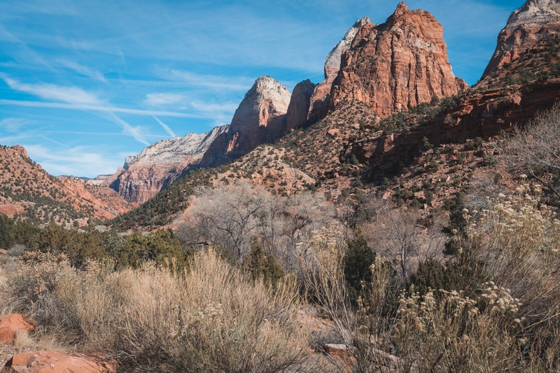 Entering Zion National Park