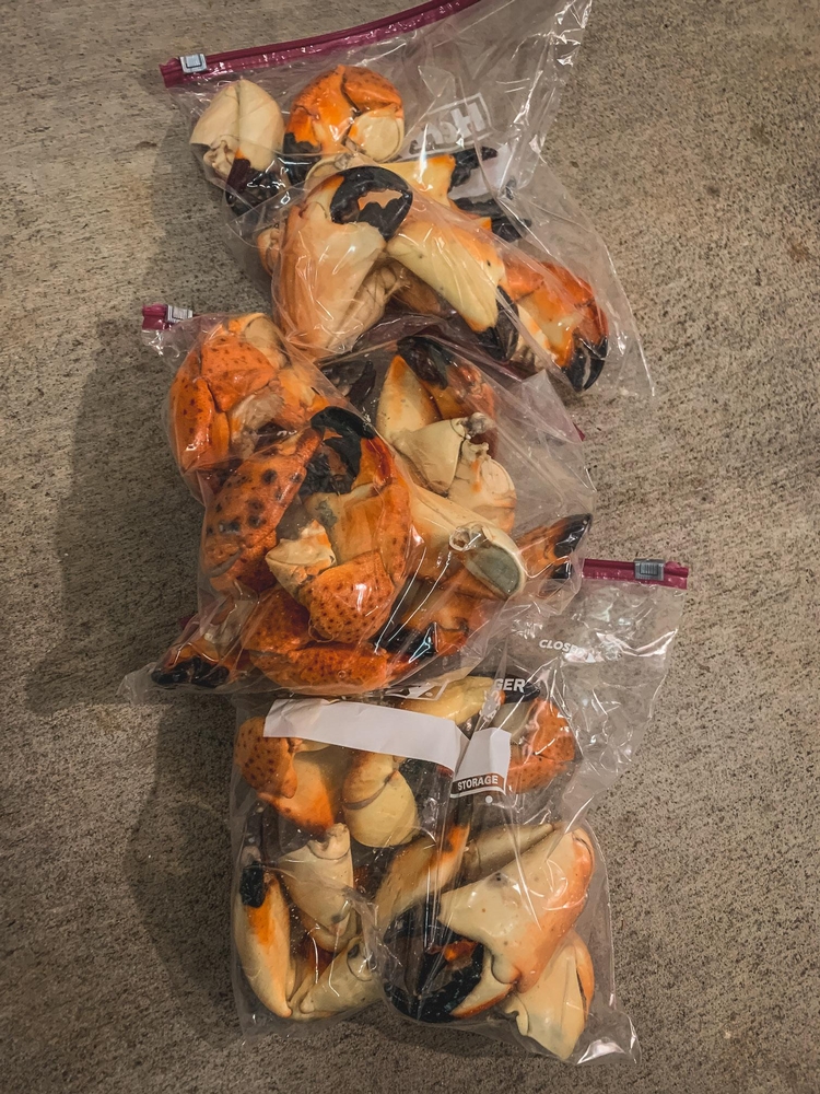 Its Definitely Stone Crab Season