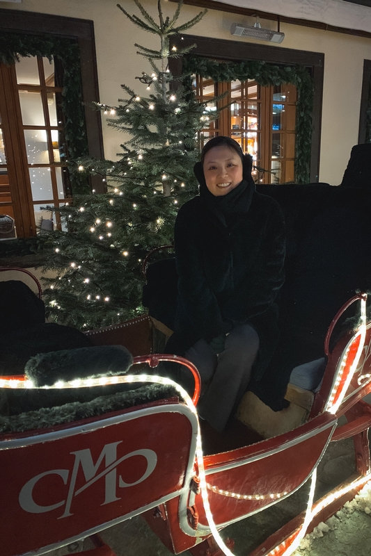 Woman With Illuminated Christmas Sleigh