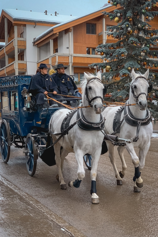 Alpine Christmas Village Horse Carriage