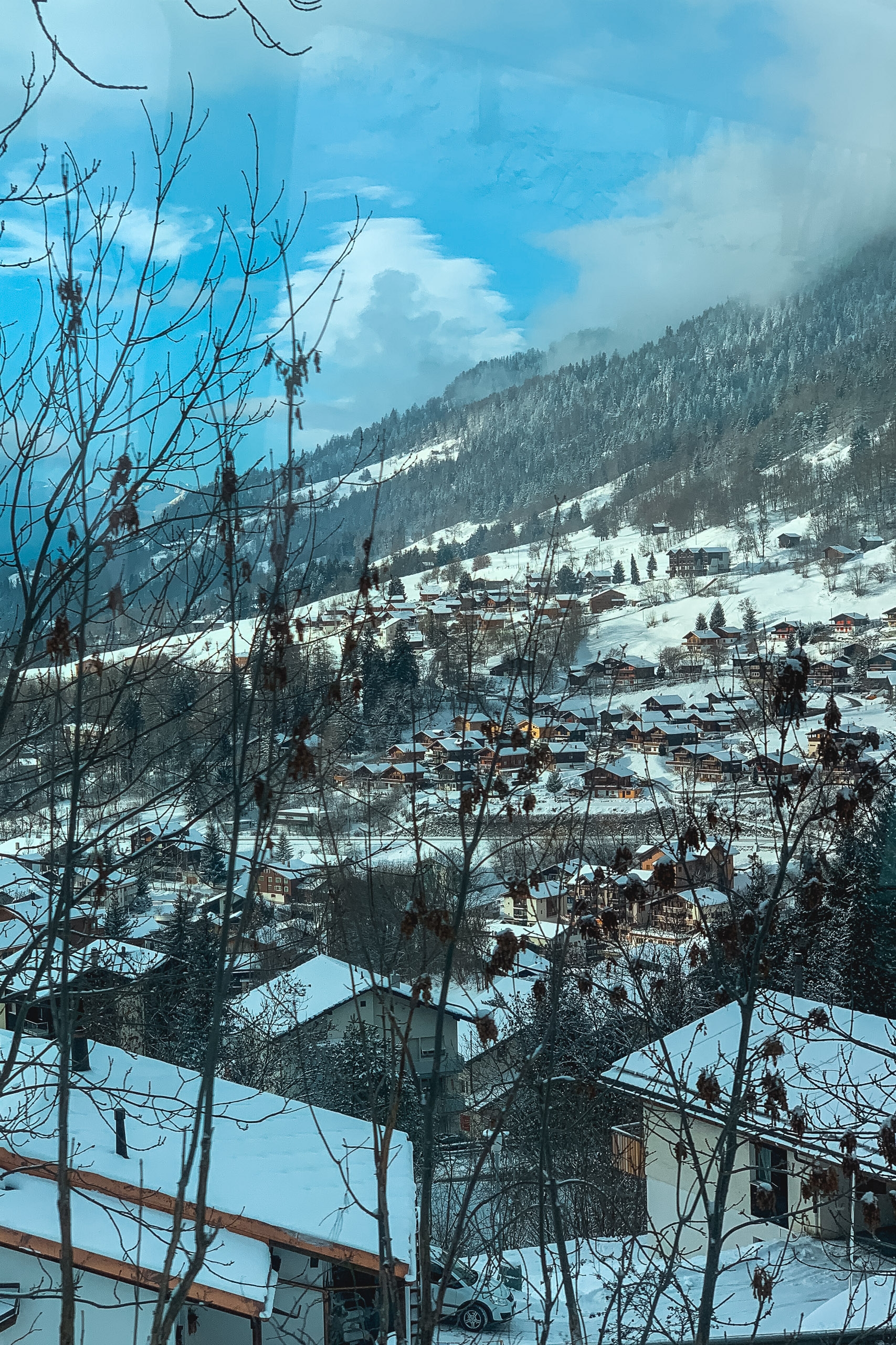 A snow-covered alpine valley settlement nestles beneath forested mountain slopes under partly cloudy skies, with bare tree branches framing the foreground view