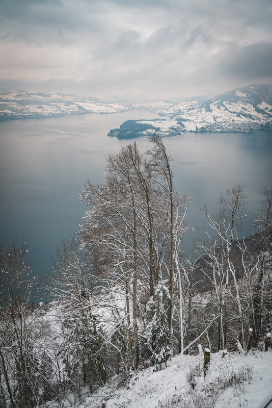 High Above Lake Lucerne - Tall