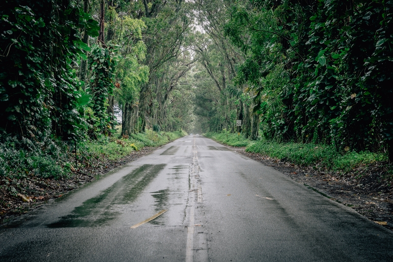 The Road to Poipu