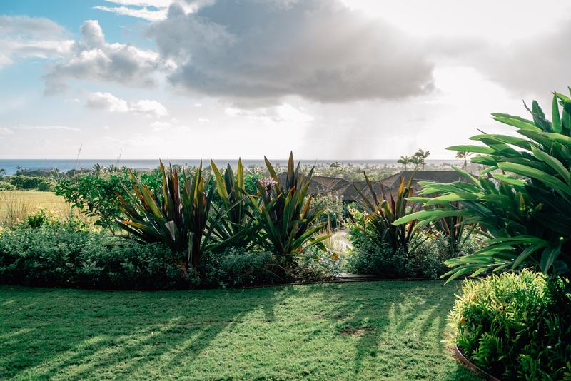 The View from the Lanai