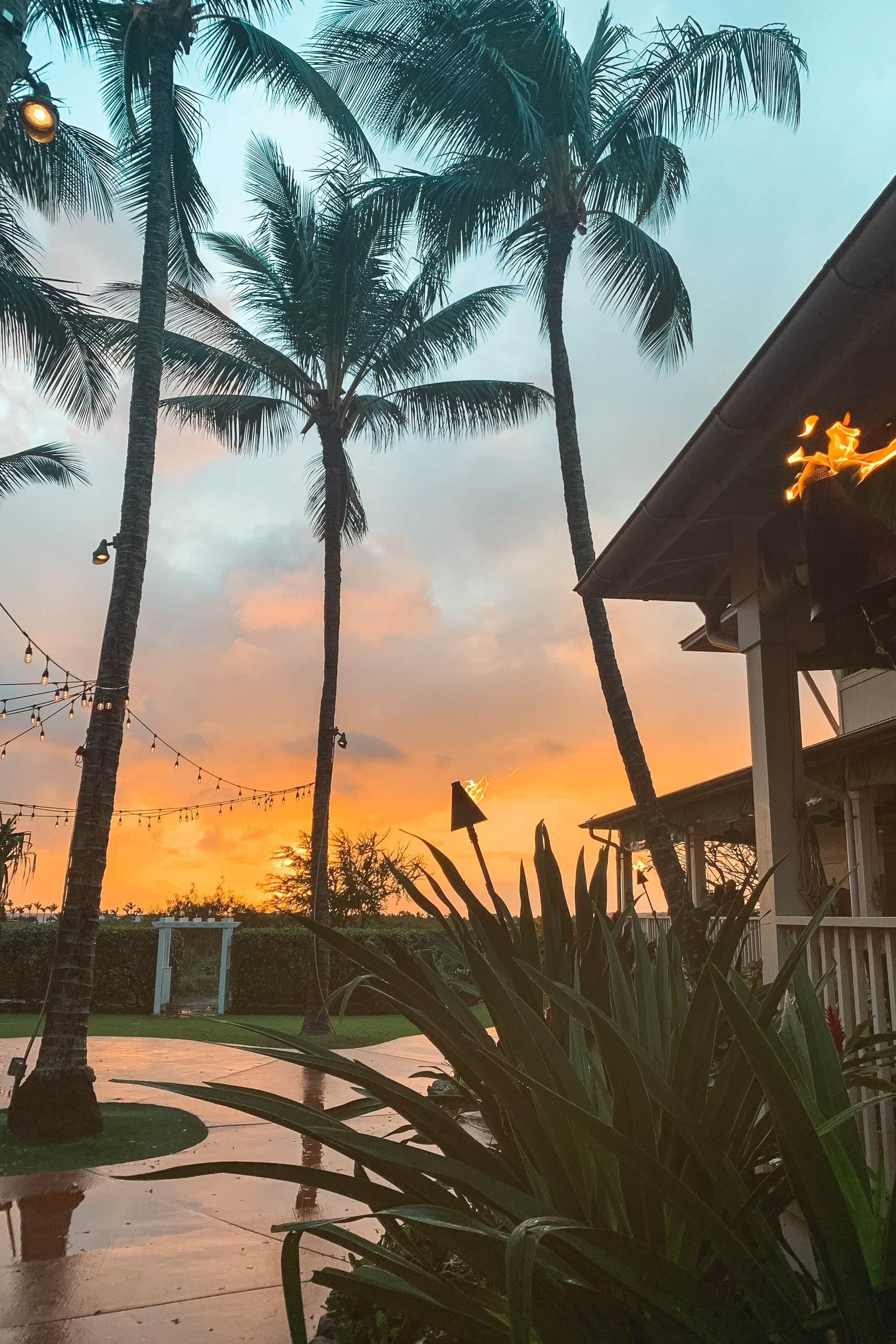Tropical resort courtyard at sunset with tall palm trees framing a glowing orange sky, string lights, a torch, and modern architecture on the right.