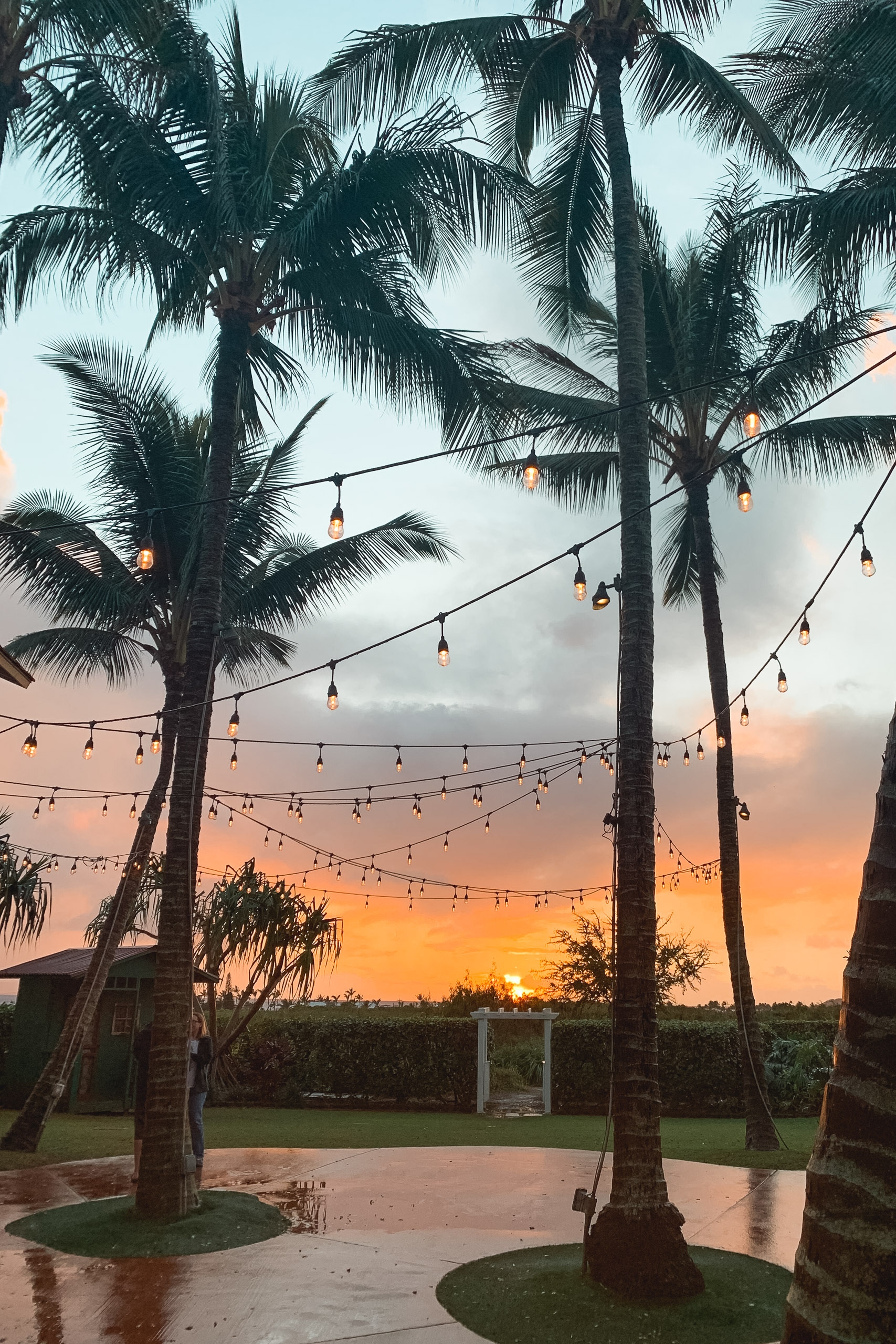 Tall palm trees frame a tropical outdoor venue with strung Edison bulbs glowing against an orange and pink sunset sky over calm water
