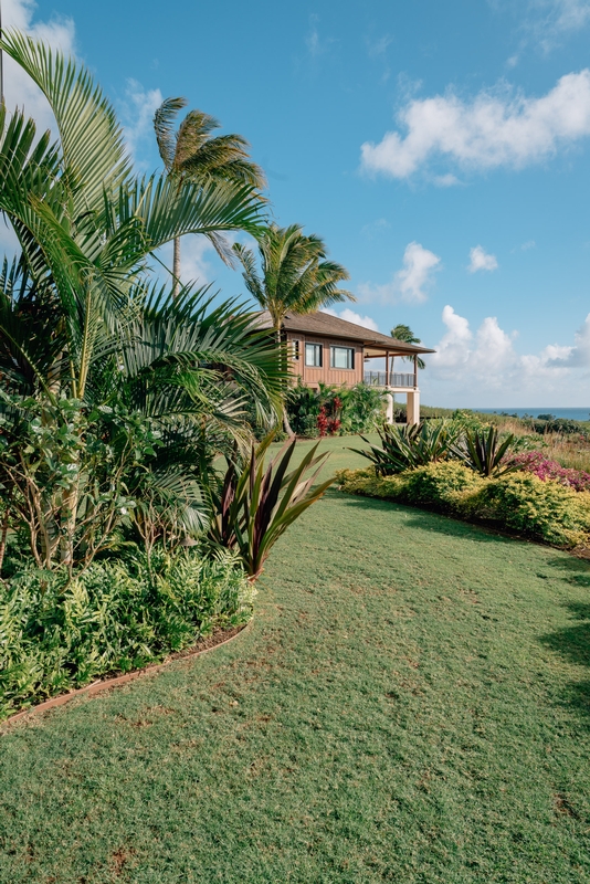 Our Neighbors on Kauai