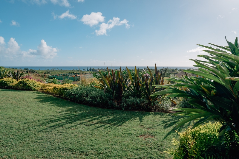 Overlooking the Ocean from the House in Kauai