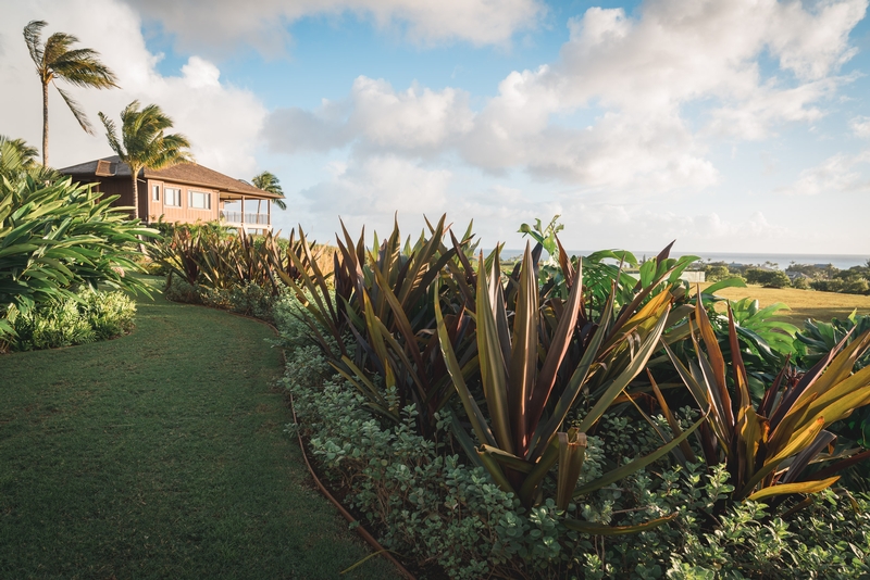 Sunset over the Neighbors in Kauai