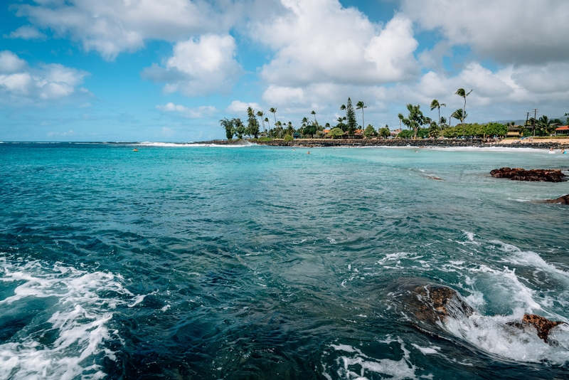 The Rocky Waves of the Poipu Beach Park