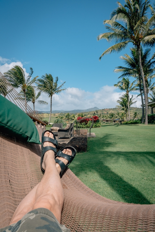 A Morning on the Hammock