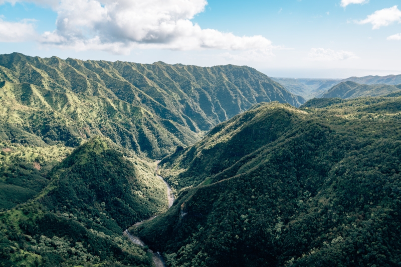 Back Toward the Canyon and the Sea