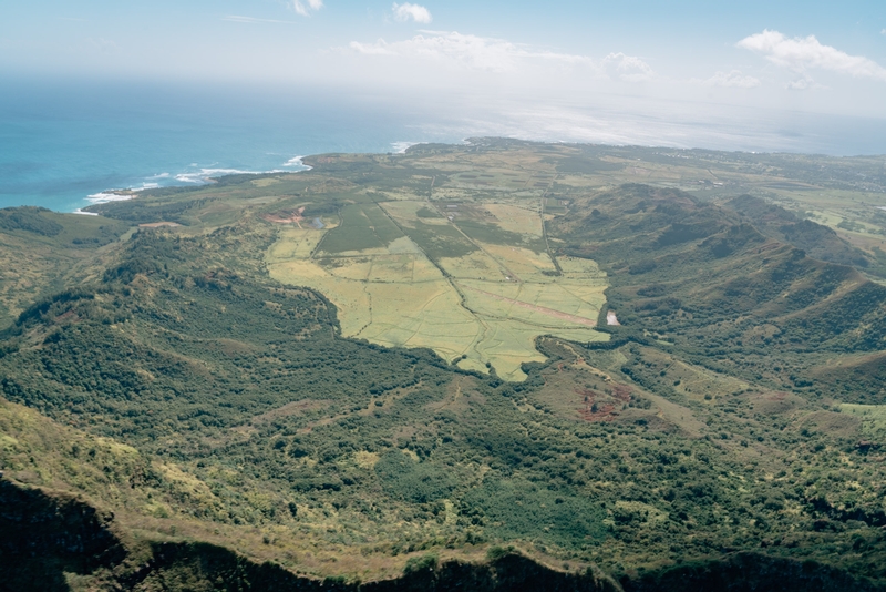 The View of an Agricultural Spot