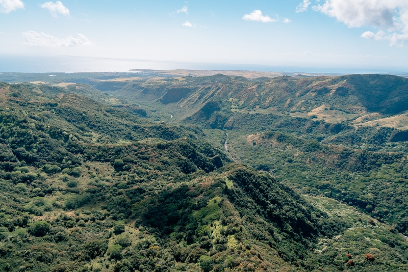 Through the Canyon to the Sea