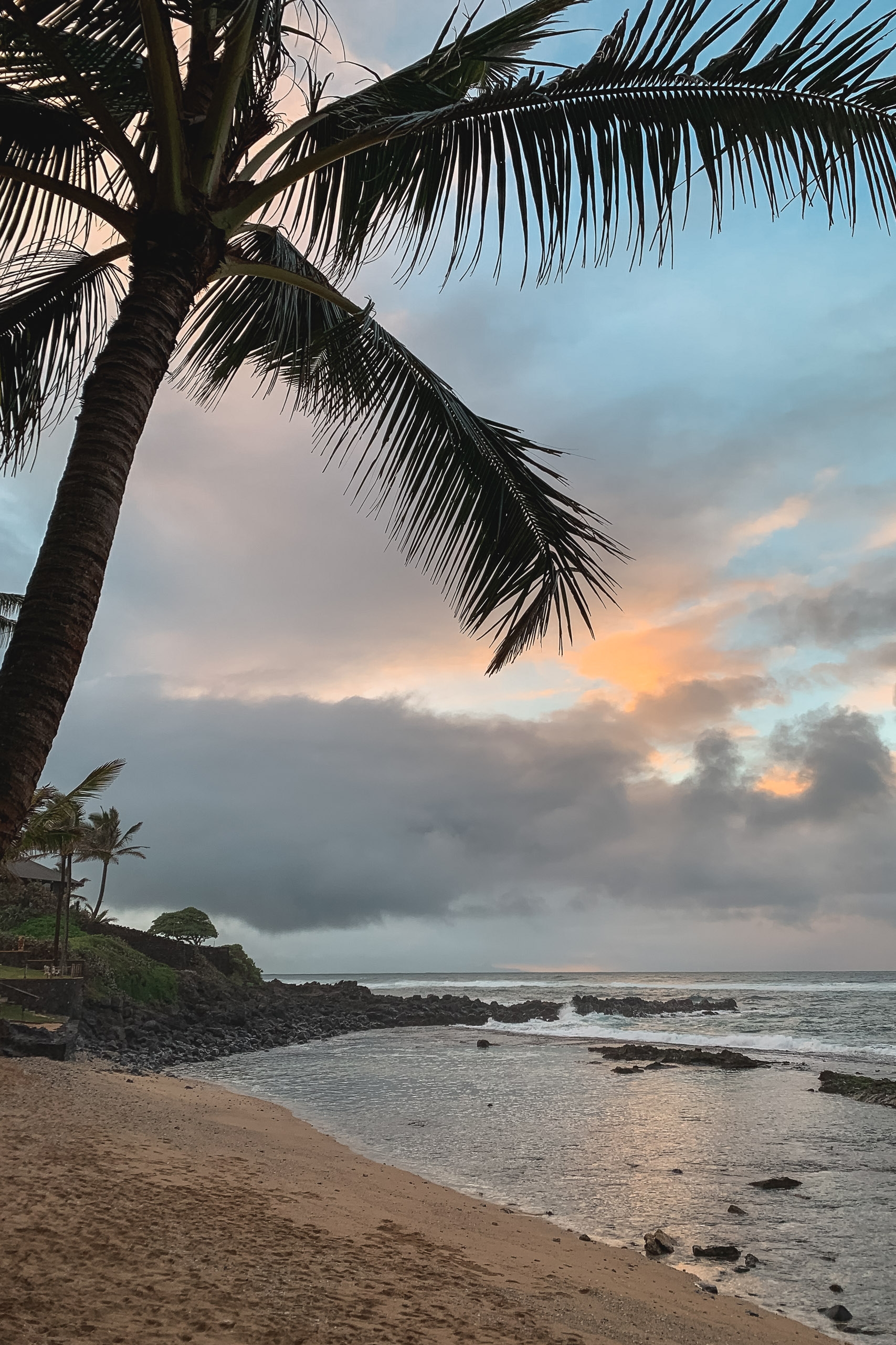 Palm fronds frame a tropical beach at dusk, with golden and gray clouds reflected over calm waters and dark volcanic rocks scattered along the shoreline