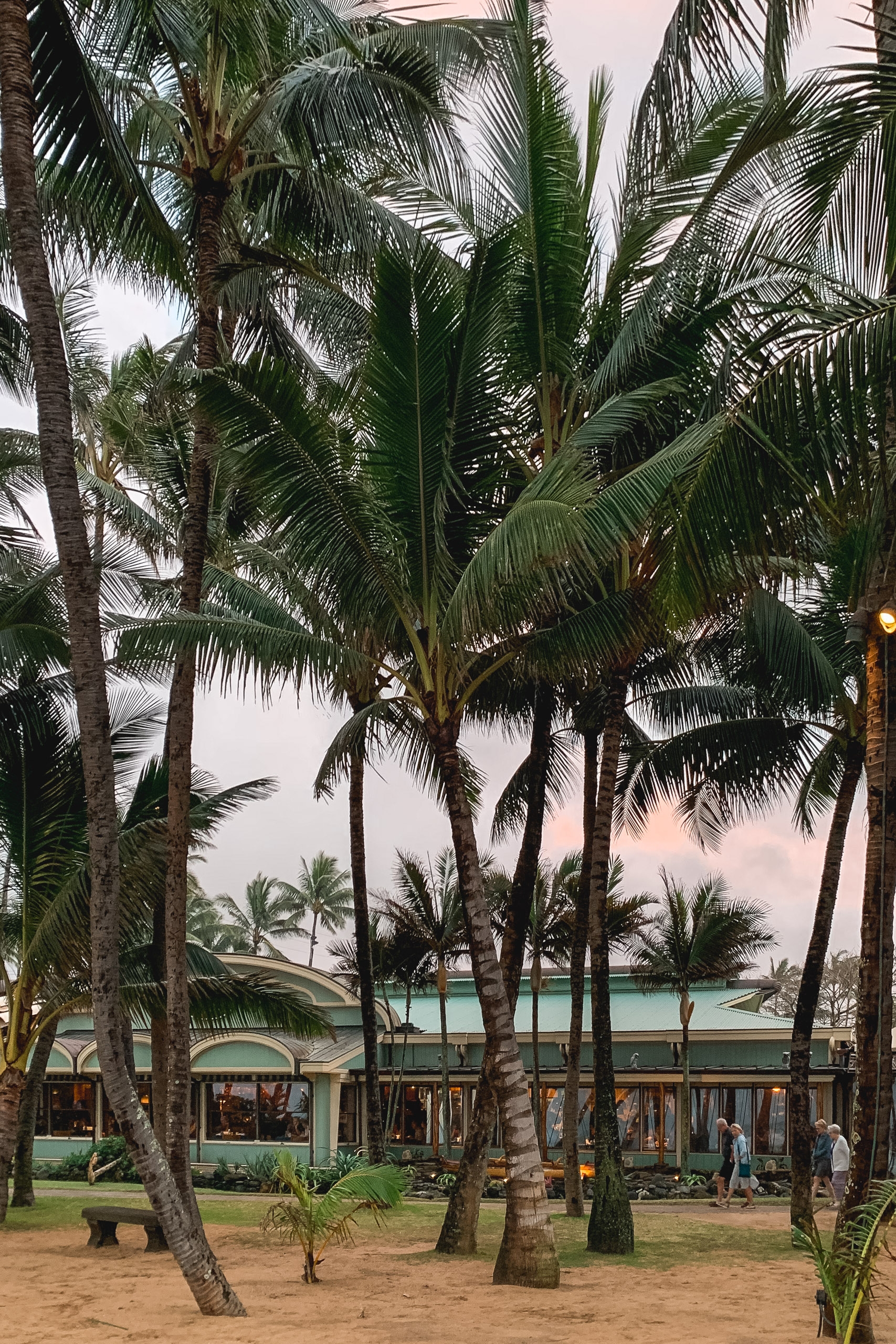 Tall palm trees frame a beachfront building with turquoise trim, sandy ground visible below, and overcast sky creating soft natural lighting across the tropical scene