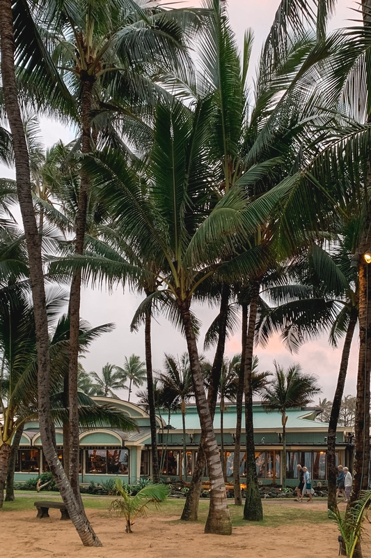 Palm Trees Frame Beachfront Tropical Building