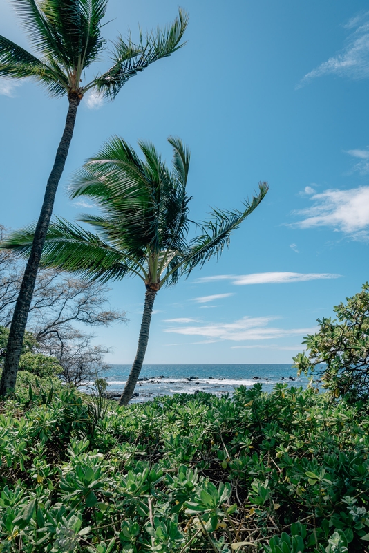 Rocky Makena Beach - Tall