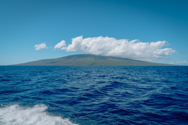 Aloha Molokai