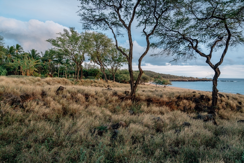 Beautiful Lanai