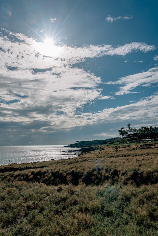 Coastal Beach Walk