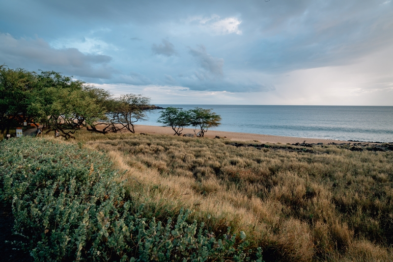 Evening Light at Hulopoe Beach - Wide