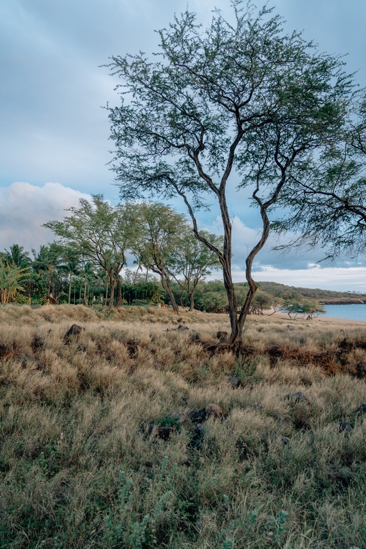 Evening Light at Hulopoe Beach